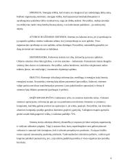 Sisteminio požiūrio samprata vadyboje 4 puslapis