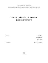 Turizmo poveikis ekonomikai pandemijos metu