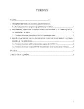 Turizmo poveikis ekonomikai pandemijos metu 2 puslapis