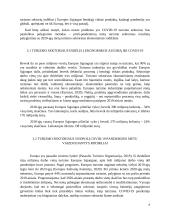 Turizmo poveikis ekonomikai pandemijos metu 6 puslapis