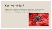 ﻿Kodėl ląstelės virsta vėžinėmis? 2 puslapis