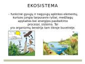 Ekosistema ir ekologijos mokslas 3 puslapis
