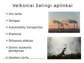 Ekosistema ir ekologijos mokslas 8 puslapis