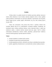 Socialinės kaitos įtaka žmogaus sveikatai 3 puslapis