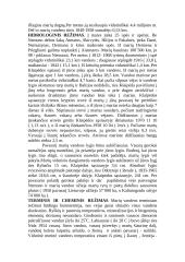 Kuršių marių lagūna 2 puslapis