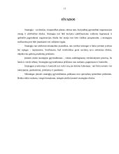 Strateginio valdymo samprata ir pagrindinės sąvokos 11 puslapis