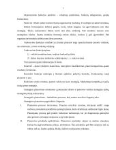 Strateginio valdymo samprata ir pagrindinės sąvokos 7 puslapis