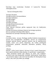 Budos mokymas 2 puslapis