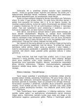 Actekų civilizacija šiuolaikinėje Meksikoje 4 puslapis