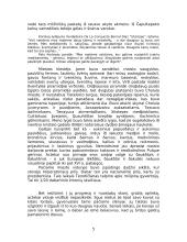 Actekų civilizacija šiuolaikinėje Meksikoje 5 puslapis