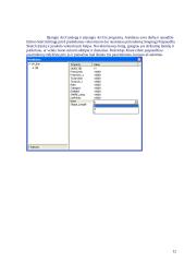 Subtipų ir domenų kūrimas 12 puslapis