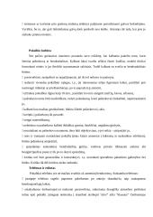 Tarnybinis etiketas 5 puslapis