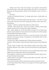 Tarnybinis etiketas 7 puslapis