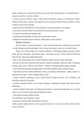 Tarnybinis etiketas 9 puslapis