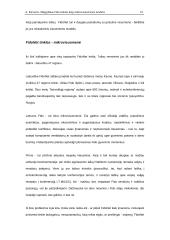 Mėgėjiškas Fido tinklas kaip mikrovisuomenės modelis 9 puslapis