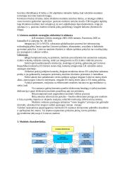 Tarptautiniai vežimai 2 puslapis