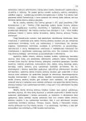 Lietuvos valstybės bei teisės istorija 13 puslapis