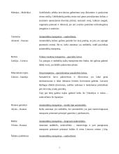 Transporto logistika 2 puslapis