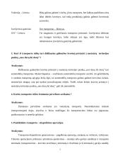 Transporto logistika 3 puslapis