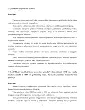 Transporto logistika 5 puslapis