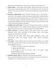 Transporto logistika 7 puslapis