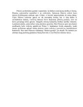 Pskovo miestas 6 puslapis