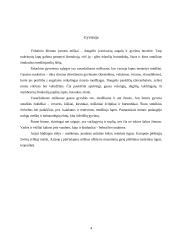 Vasaržaliai miškai 4 puslapis