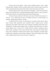 Vasaržaliai miškai 7 puslapis