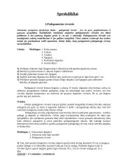 Sprogdikliai ir detonatoriai