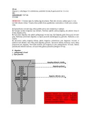 Sprogdikliai ir detonatoriai 2 puslapis