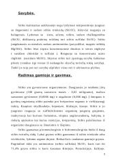 Paukštis stibis 3 puslapis