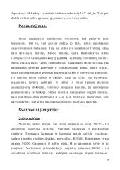 Paukštis stibis 4 puslapis