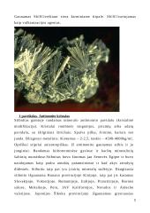 Paukštis stibis 5 puslapis