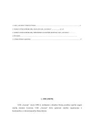 Verslo etikos problemos: UAB "Gausoja" 2 puslapis