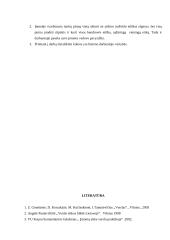 Verslo etikos problemos: UAB "Gausoja" 8 puslapis