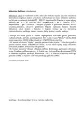  Silikatų struktūra 6 puslapis