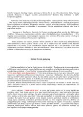 Verslo lyderis 2 puslapis