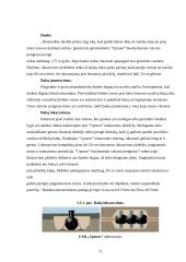 Vienbučio namo nuotekų sistemos analizė: Radviliškio miestas SB "Obelėlė" 10 puslapis