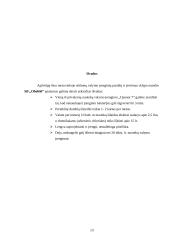 Vienbučio namo nuotekų sistemos analizė: Radviliškio miestas SB "Obelėlė" 12 puslapis