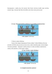 Vienbučio namo nuotekų sistemos analizė: Radviliškio miestas SB "Obelėlė" 9 puslapis