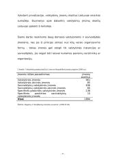 Verslo organizavimo formos bei jų privalumai ir trūkumai 17 puslapis