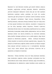 Verslo organizavimo formos bei jų privalumai ir trūkumai 19 puslapis