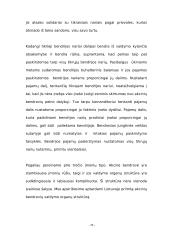 Verslo organizavimo formos bei jų privalumai ir trūkumai 20 puslapis