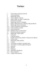 Verslo planas - tikroji ūkinė bendrija 2 puslapis