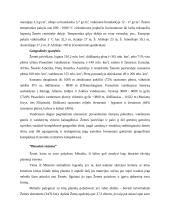 Žemė - trečia pagal nuotolį nuo Saulės planeta 3 puslapis