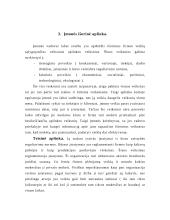 Autoserviso verslo planas 6 puslapis