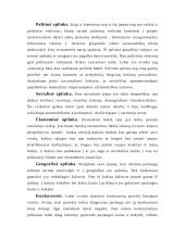 Autoserviso verslo planas 7 puslapis