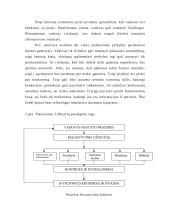 Autoserviso verslo planas 10 puslapis