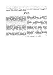 Indijos religija, filosofija, literatūra, šokis, muzika bei architektūra 4 puslapis