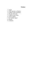 Liublino unija - istorija 9 puslapis